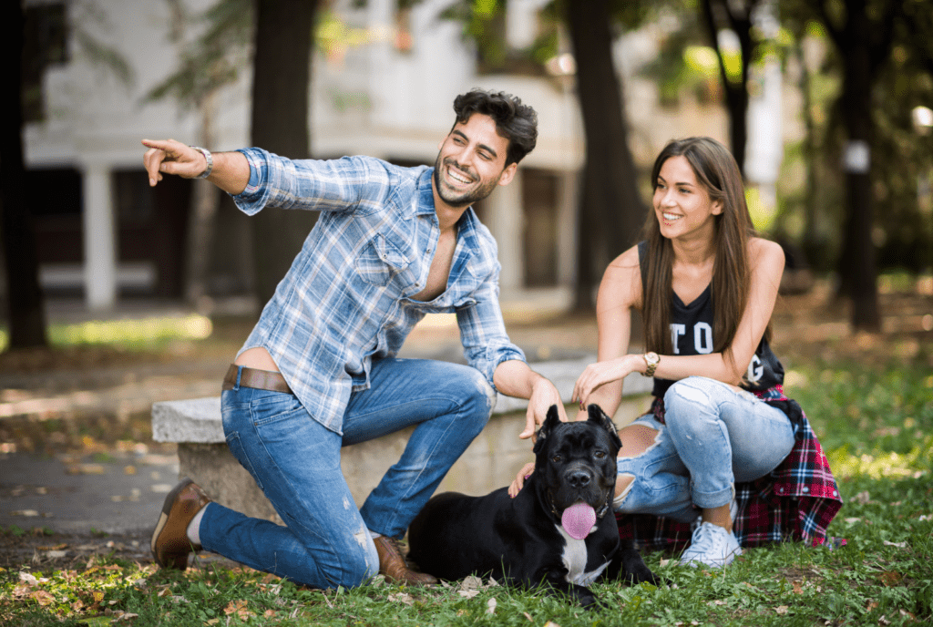 Cane Corso rasa zdjecia charakter cena wychowanie szkolenie 2 1