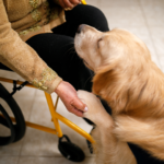 Animaloterapia - terapeutyczna moc obcowania ze zwierzętami.