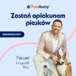 Kolonie dla psa – bezpieczne wakacje z PawAway, kiedy Ty odpoczywasz