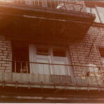 Duży pies w mieszkaniu obok opiekuna